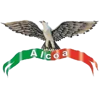 Alcoa Concrete & Masonry Inc.