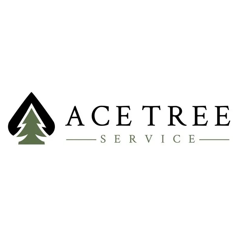 Ace Tree Service