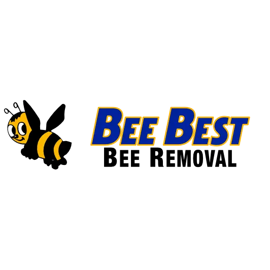 Bee Best Bee Removal