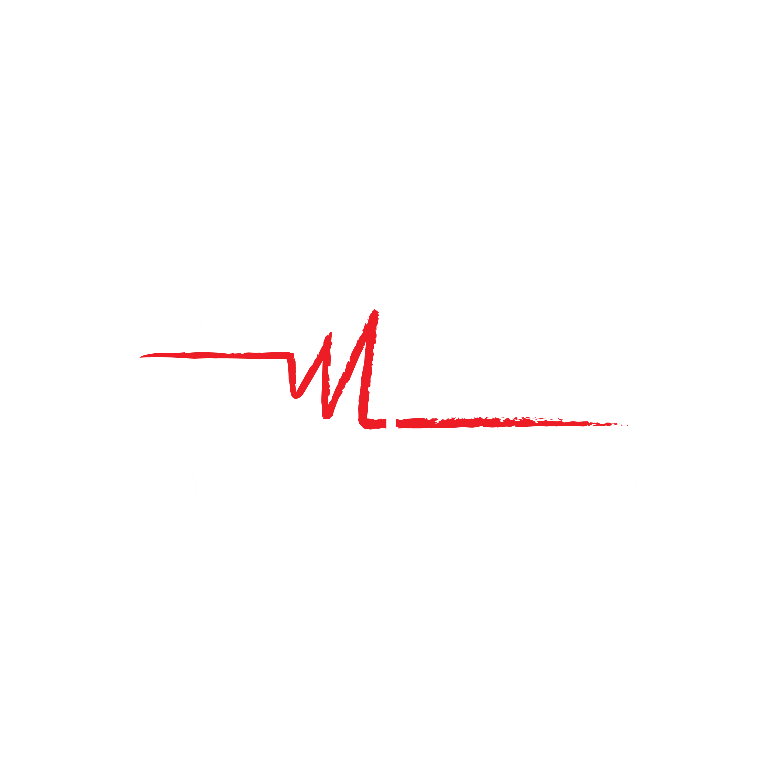 AMPLIFIED ELECTRONIC DESIGN INC