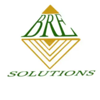 BARNES REAL ESTATE SOLUTIONS LLC