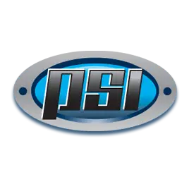 PSI PROPERTY SERVICES LLC
