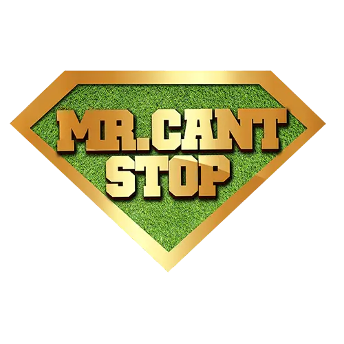 Mr. Can't Stop, LLC