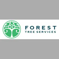 Forest Tree Services