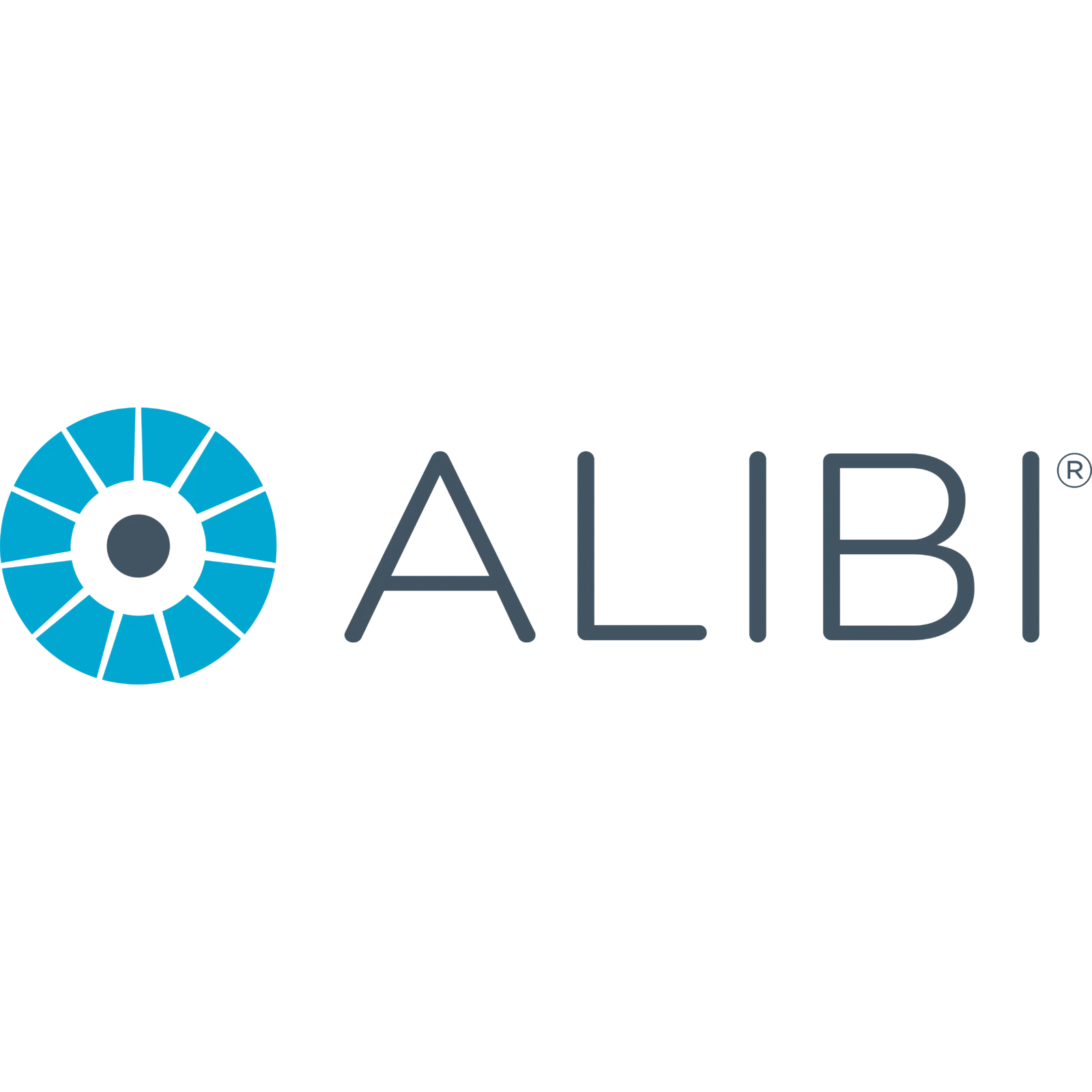 Leading Edge Security & Home Technology