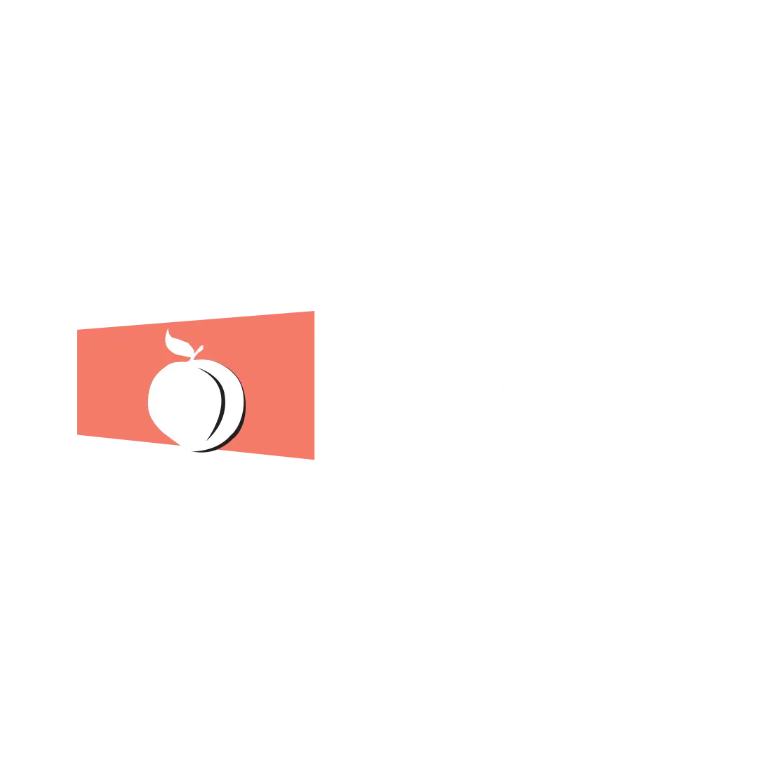 GEORGIA STAGE, LLC