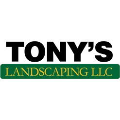 Tony's Landscaping LLC