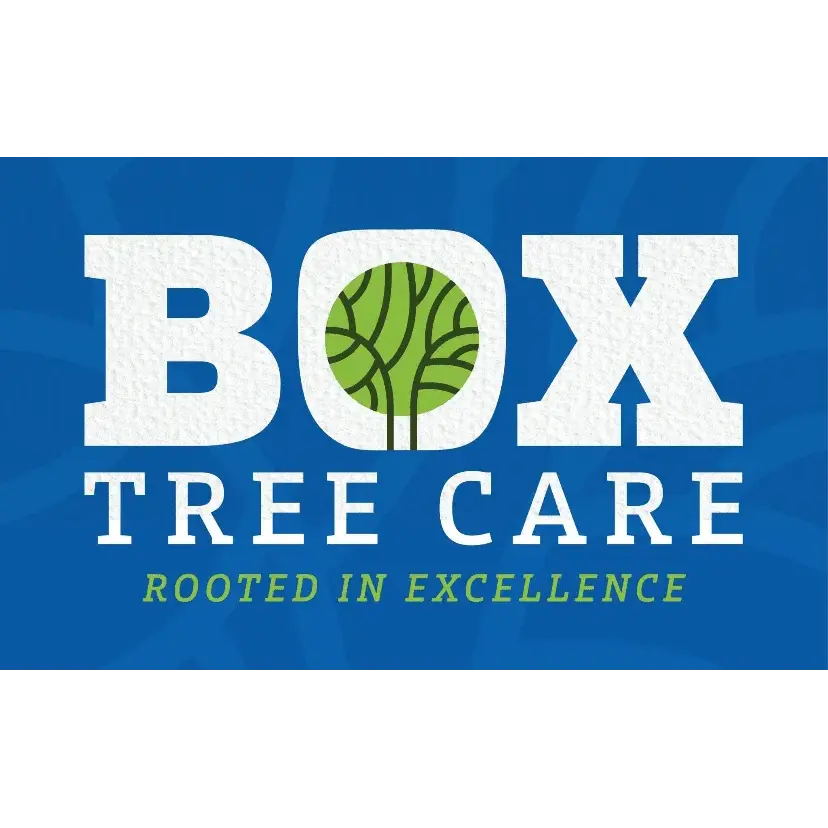 Box Tree Care