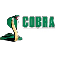 Cobra Concrete Cutting Services Co.