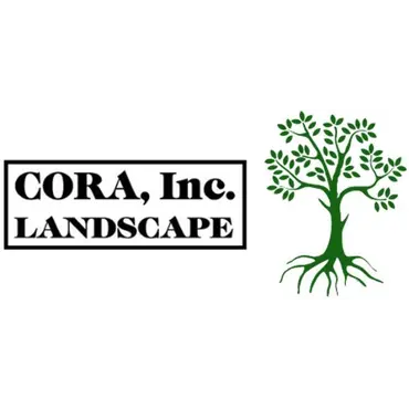 Cora, Inc Landscape