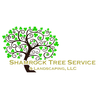 Shamrock Tree Service and Landscaping LLC