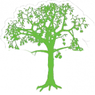 Martinez Tree and Lawn Service, LLC