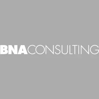 BNA Consulting, Inc.