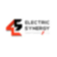 ELECTRIC SYNERGY PARTNERS LLC