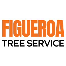 FIGUEROA TREE SERVICE