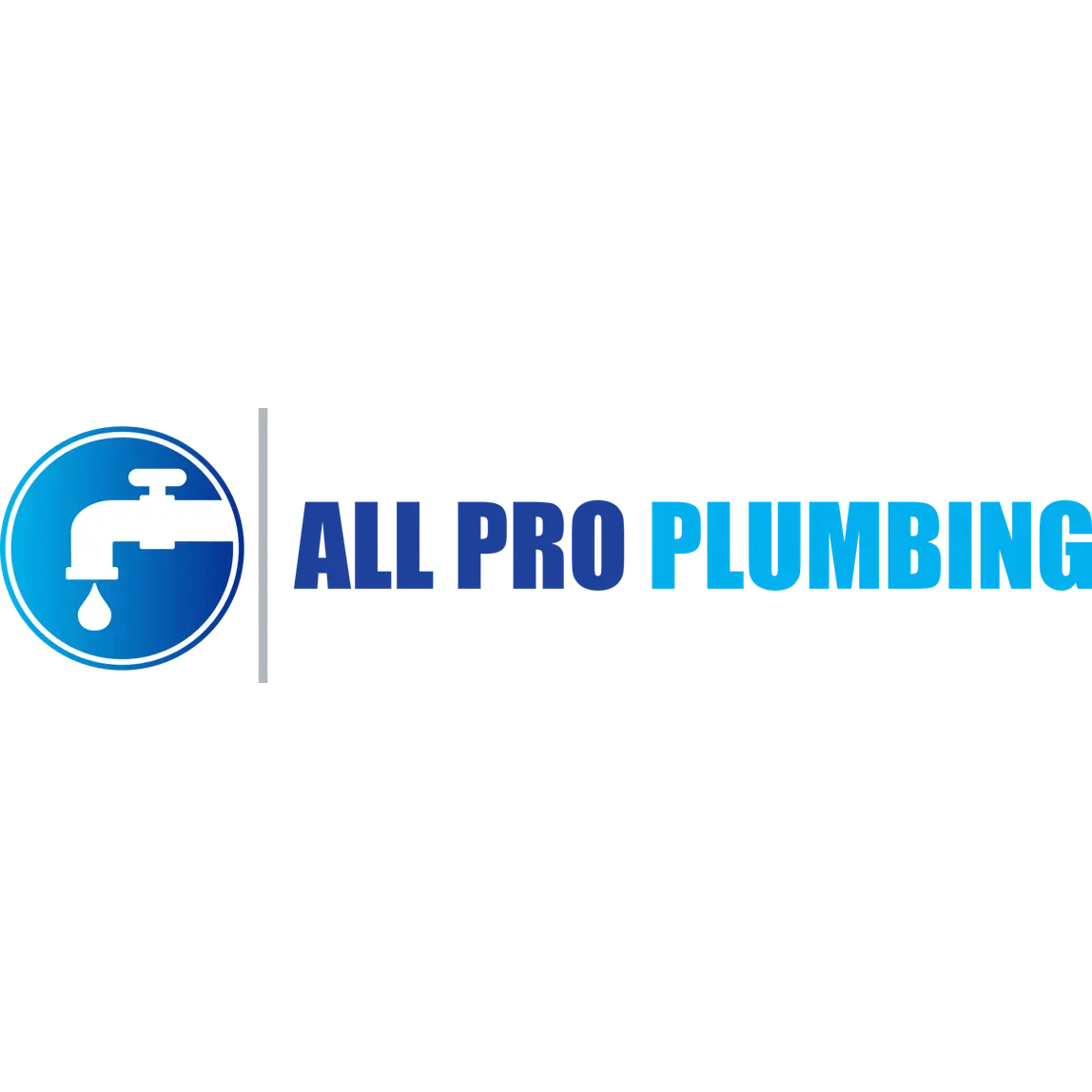 ALL PRO PLUMBING, LLC